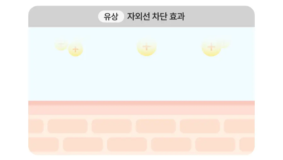 [NEW] 토리든 다이브인 모이스처 선크림 60ml 상세페이지 25
